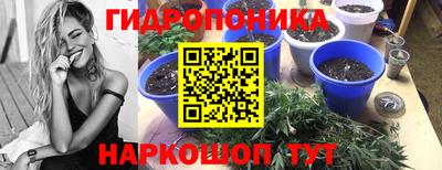 твердый Кулебаки
