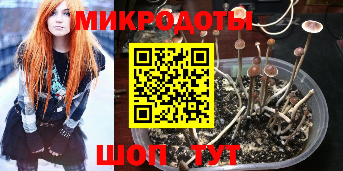 Спасск-Дальний  Псилоцибиновые грибы прущие грибы  купить наркотики цена  Вход с VPN 